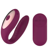 Passion Play Couple Vibe with Remote Controller